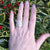 Sterling silver angel feather ring, filled with love and protects the wearer. Part of Elena Brennan's My Angel jewelry collection. Celtic inspired angel jewelry designed and handcrafted in Co. Cavan, Ireland. Photographed against a red berry bush.