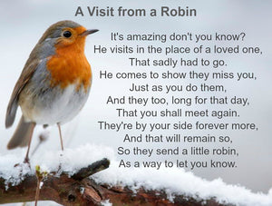 A winter poem called A Visit from a Robin.