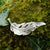 Silver angel feather brooch sitting on mossy tree bark. Part of the My angel jewellery collection, made in Cavan.