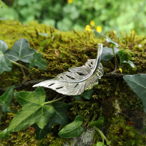 Silver angel feather brooch sitting on ivy covered mossy tree bark. Part of the My angel jewellery collection, made in Cavan.