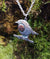 Robin Red Breast Pendant, An Spideog, hanging against mossy tree bark.