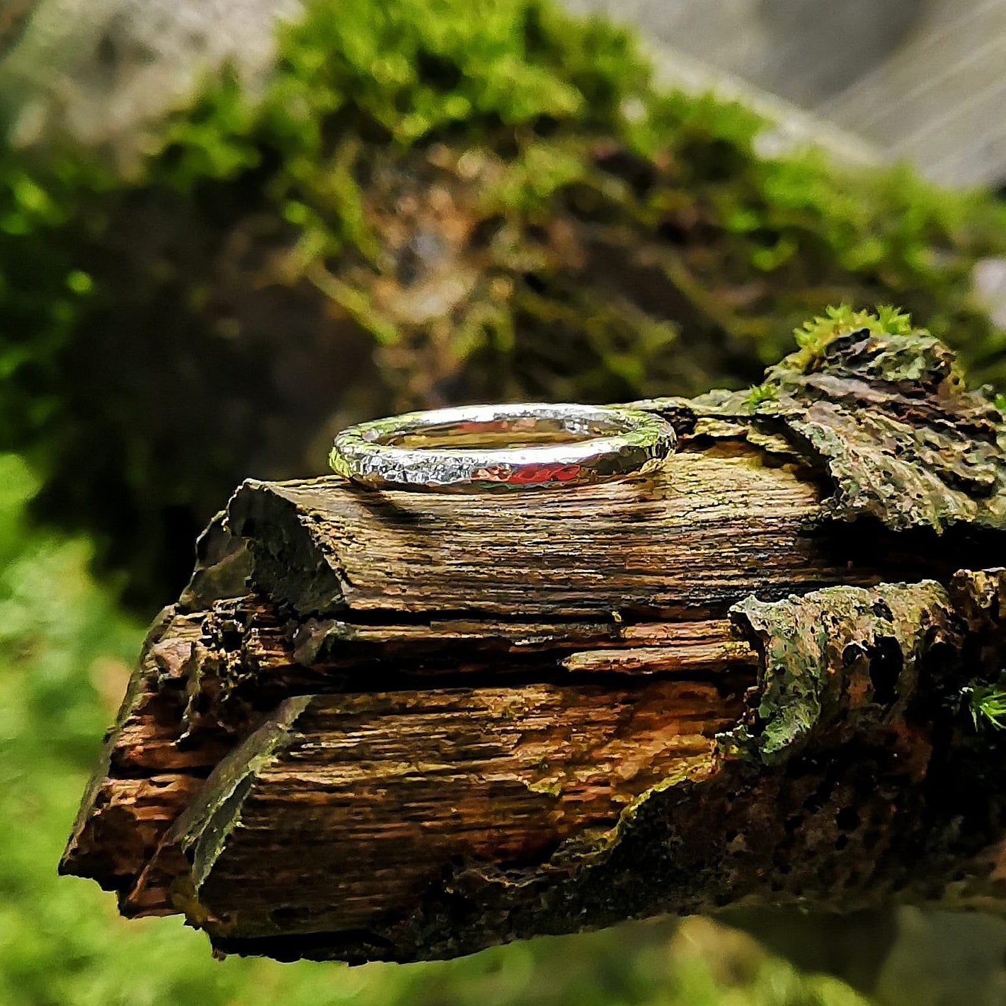 The Angel Halo Ring sitting on tree bark.